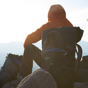 The half-way point: Beauties and the Bog