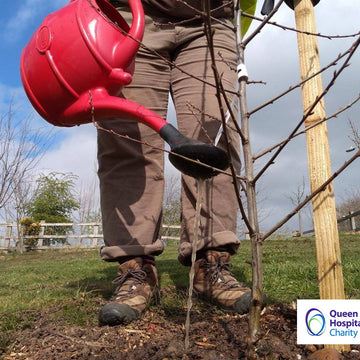 Following Nan - a slower, deeper style of mountaineering