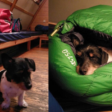 Enjoying a winter hike on a mountain