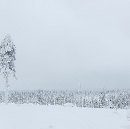 Rovaniemi 150 - 2013 Mountain bike race