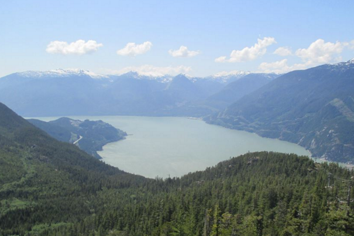 Living Wild Immersion Program