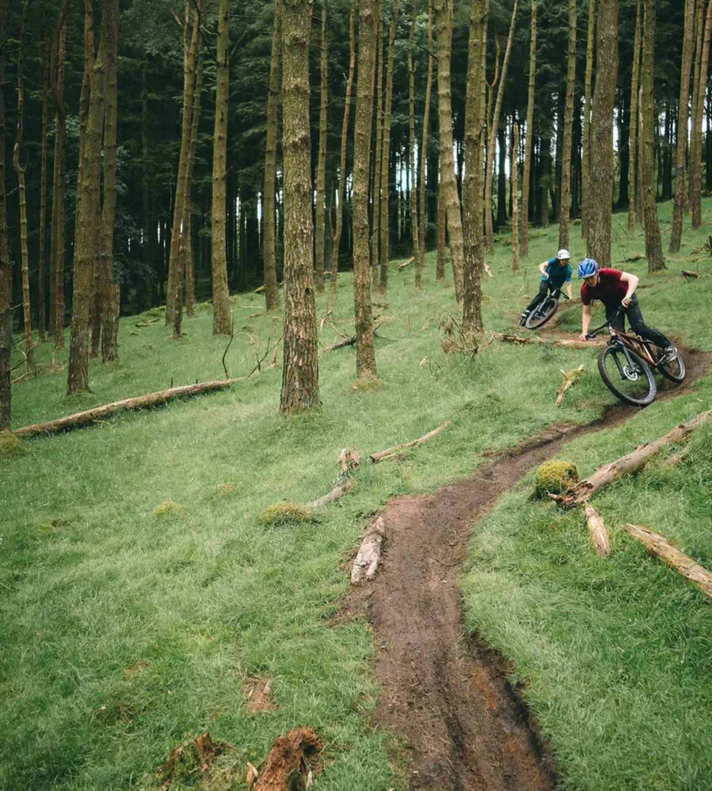 Steel hardtail MTB riding the woodland trails