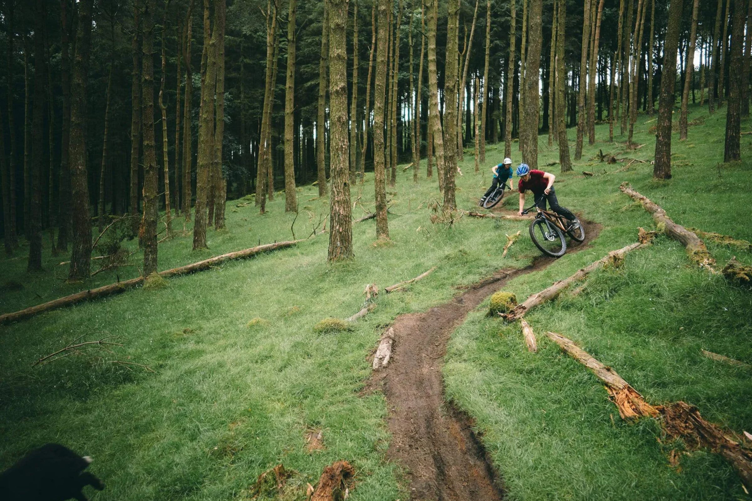 Steel hardtail MTB riding the woodland trails