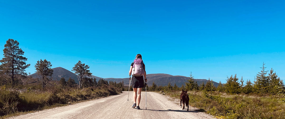 A Tale of Two Lairgs