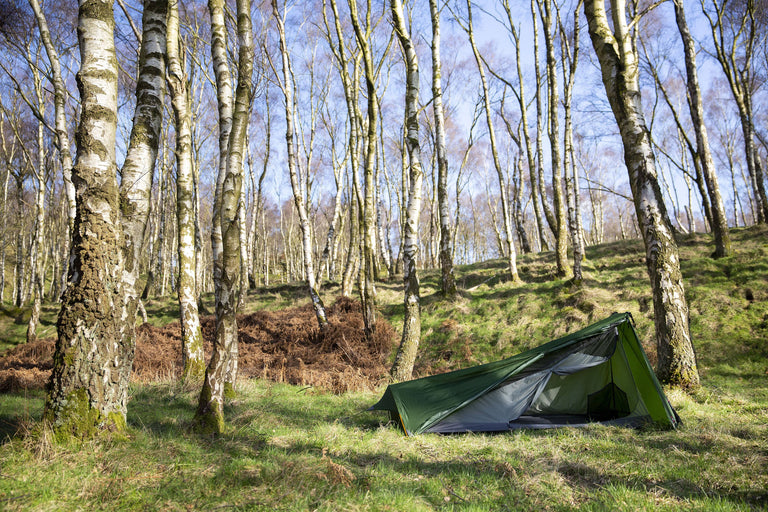 Alpkit polestar in kelp - closed