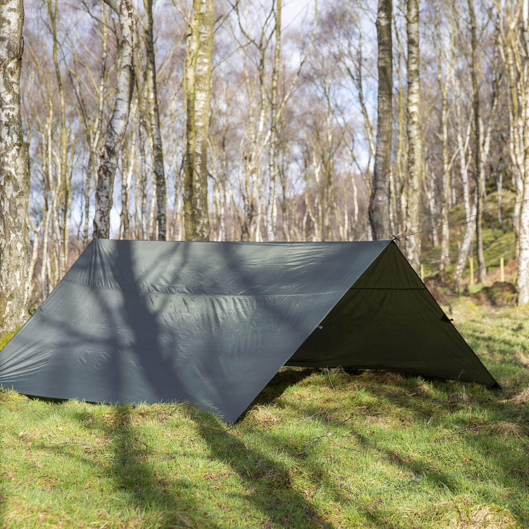 4-square tarp in kelp 