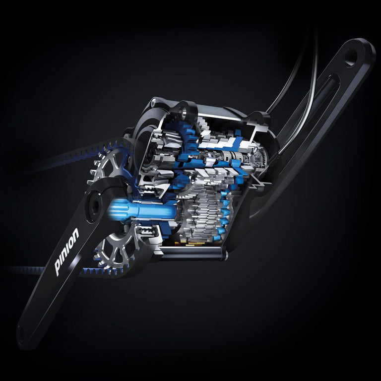 Signal Ti Pinion Aggressive titanium 29er hardtail